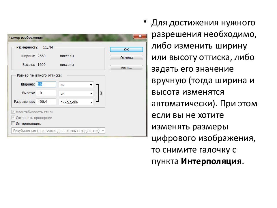 Назначение и основные возможности программы Adobe Photoshop