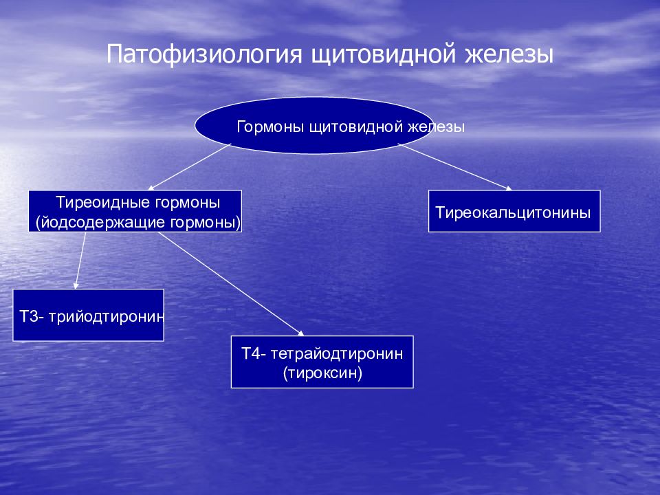 Патфиз. Патофизиология щитовидной железы. Гормоны щитовидной железы патофизиология. Гиперфункция щитовидной железы патофизиология. Нарушение функции щитовидной железы патофизиология.