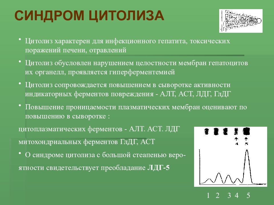 Синдром цитолиза активность. Для печеночного цитолитического синдрома характерно. Синдром цитолиза клинические проявления. Синдром цитолиза характерен для. Для цитолитического синдрома характерно.