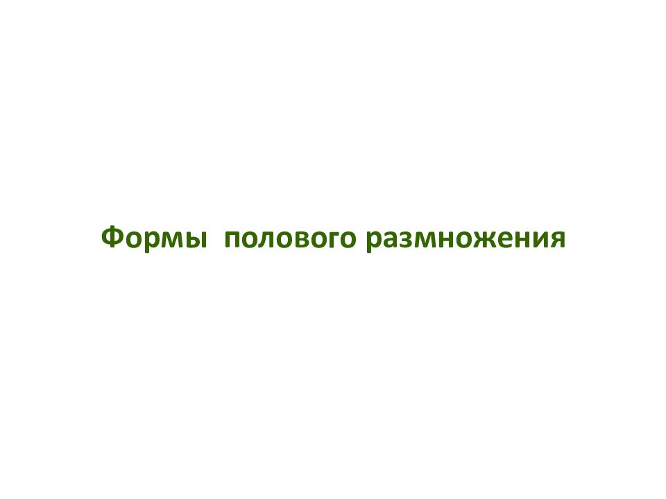 Дайте определение понятию размножение. Дайте определение понятию размножение