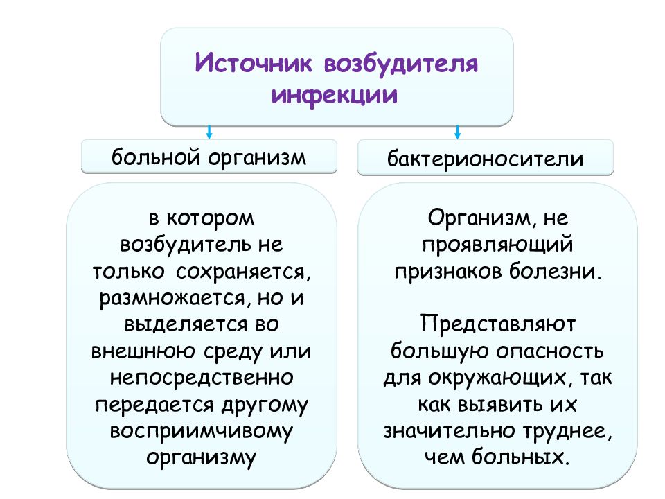 Возбудители инфекционных заболеваний презентация