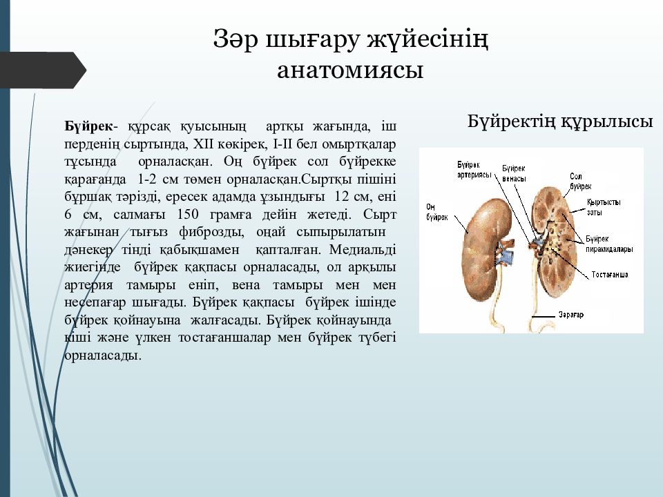 Таакпынын хоразы презентация