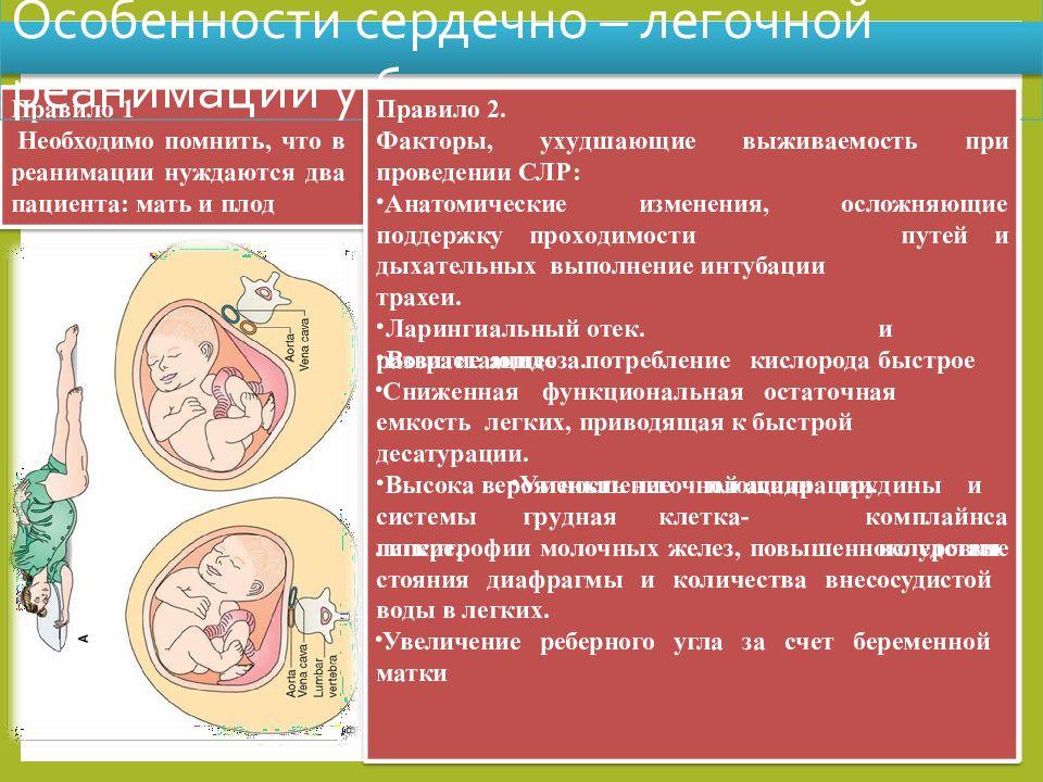 Особенности беременности. СЛР У беременных алгоритм. Особенности СЛР У беременных. Сердечно-легочная реанимация у беременных алгоритм.