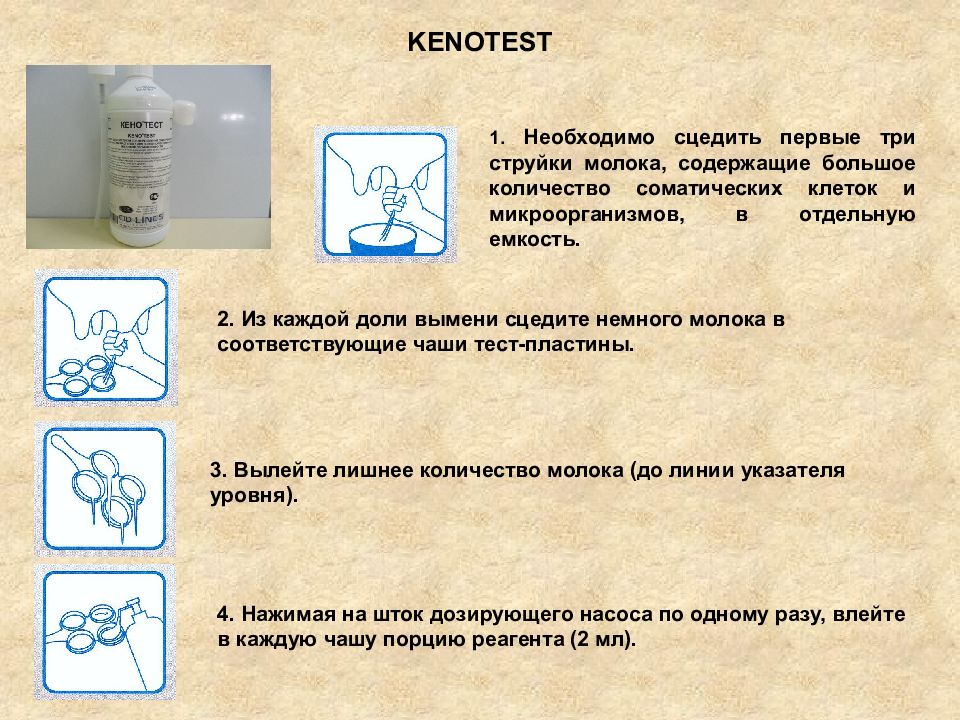 Сколько можно сцедить грудного. Как сцеживать молоко. Сцеживание грудного молока. Сцеживание молока схема. Сколько сцеживать молока.