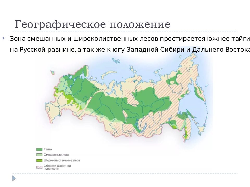 Смешанные леса россии географическое