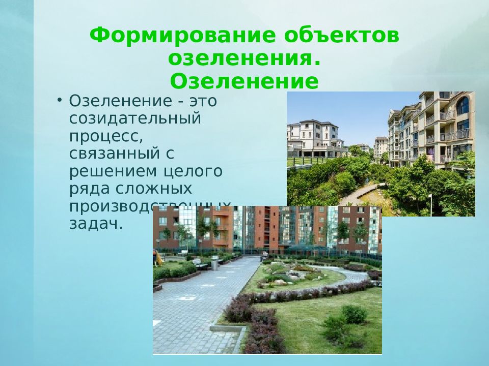 Озеленение города презентация