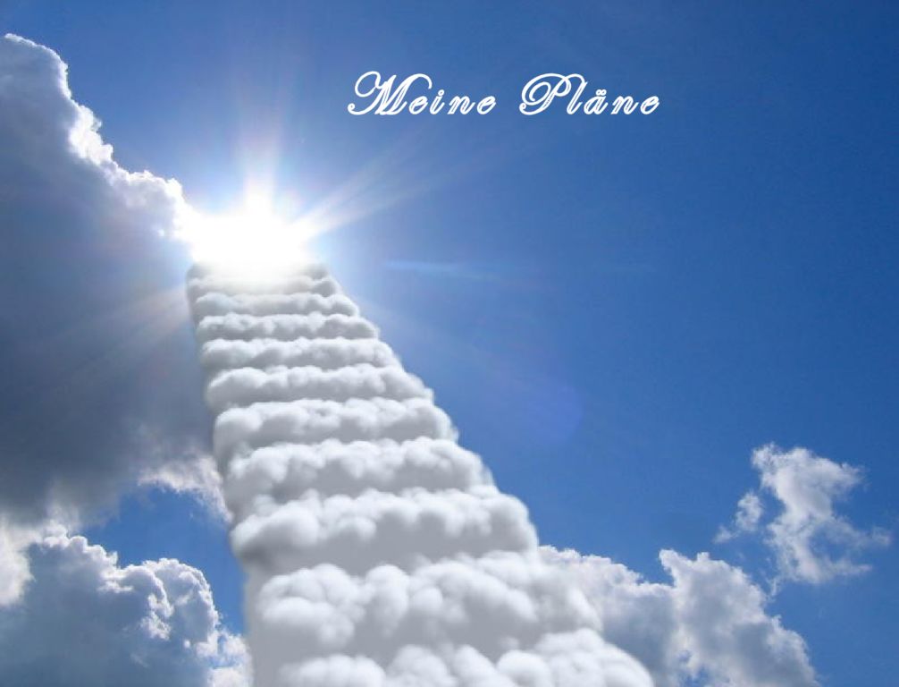 Meine Pläne