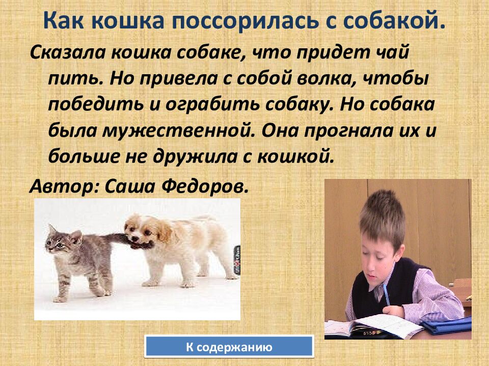 Как кошка поссорилась с собакой.