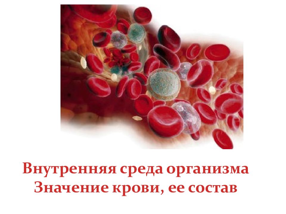 Внутренняя среда организма Значение крови, ее состав