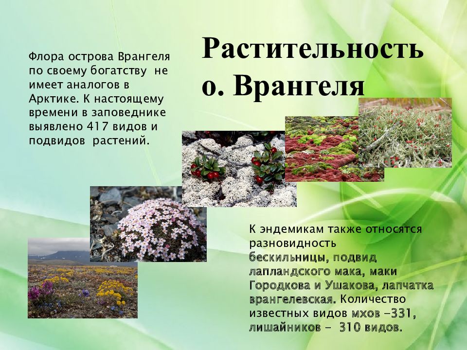 Где находится остров врангеля заповедник природная зона ОСОБО ОХРАНЯЕМЫЕ ПРИРОДНЫЕ ТЕРРИТОРИИ - презентация