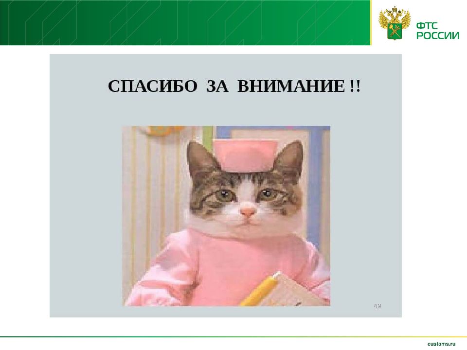 Спасибо за внимание котик для презентации