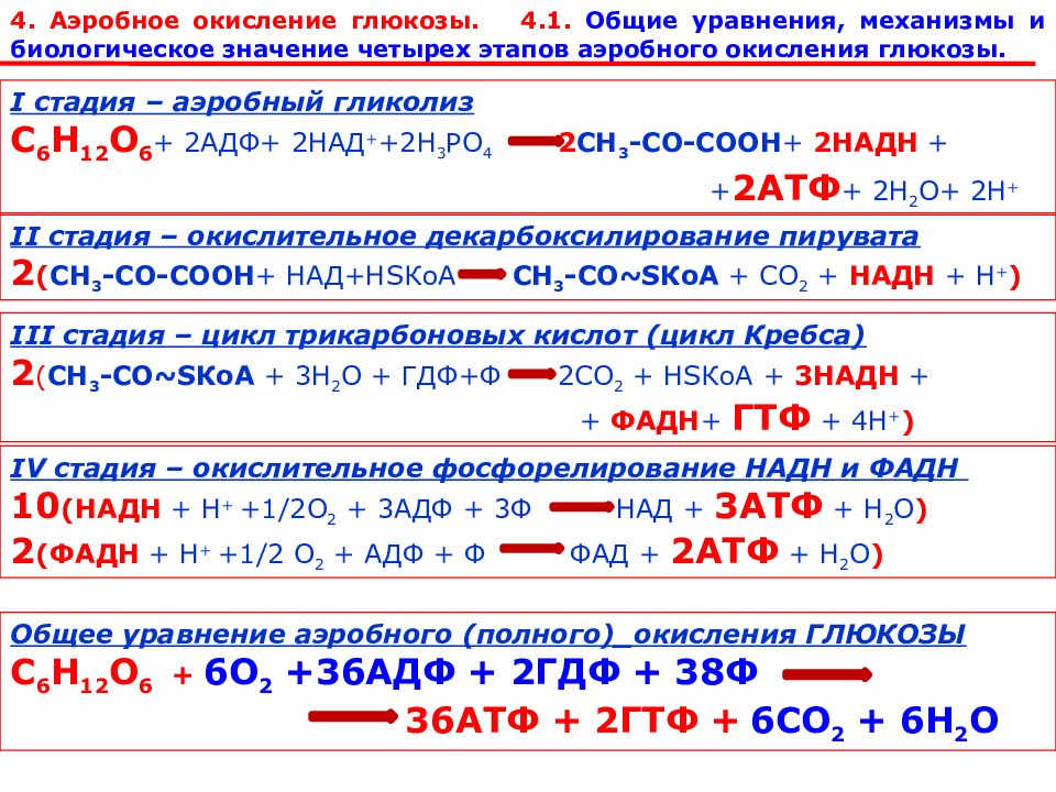 Обеспечивает аэробное окисление углеводов