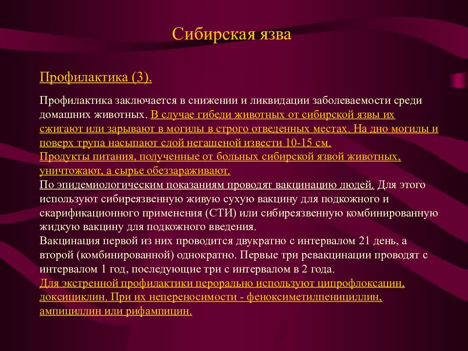 Мероприятия при сибирской язве. Профилактика сибирской язвы. Сибирская язва профилактические мероприятия. Профилактика сибирской язвв.