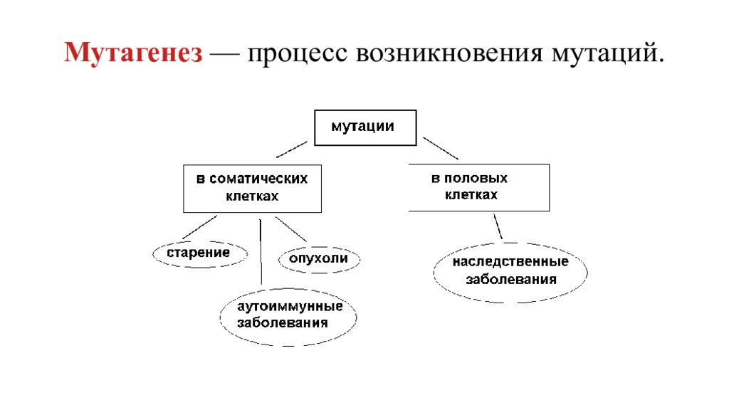 Под влиянием каких факторов происходит мутационная изменчивость