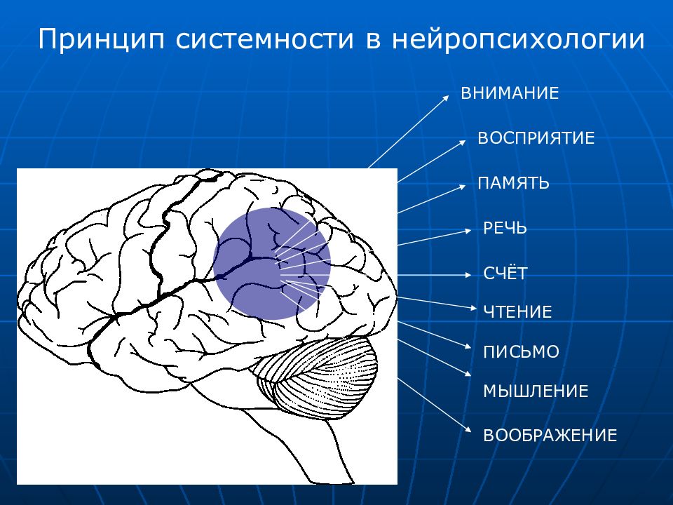 Немая карта мозга