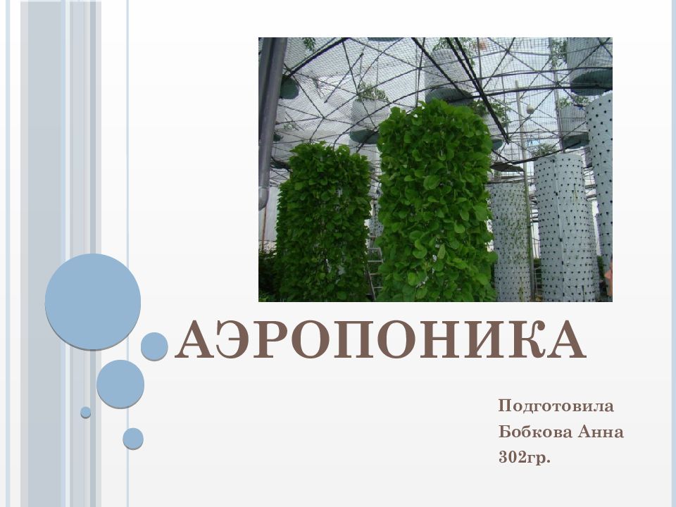 Аэропоника