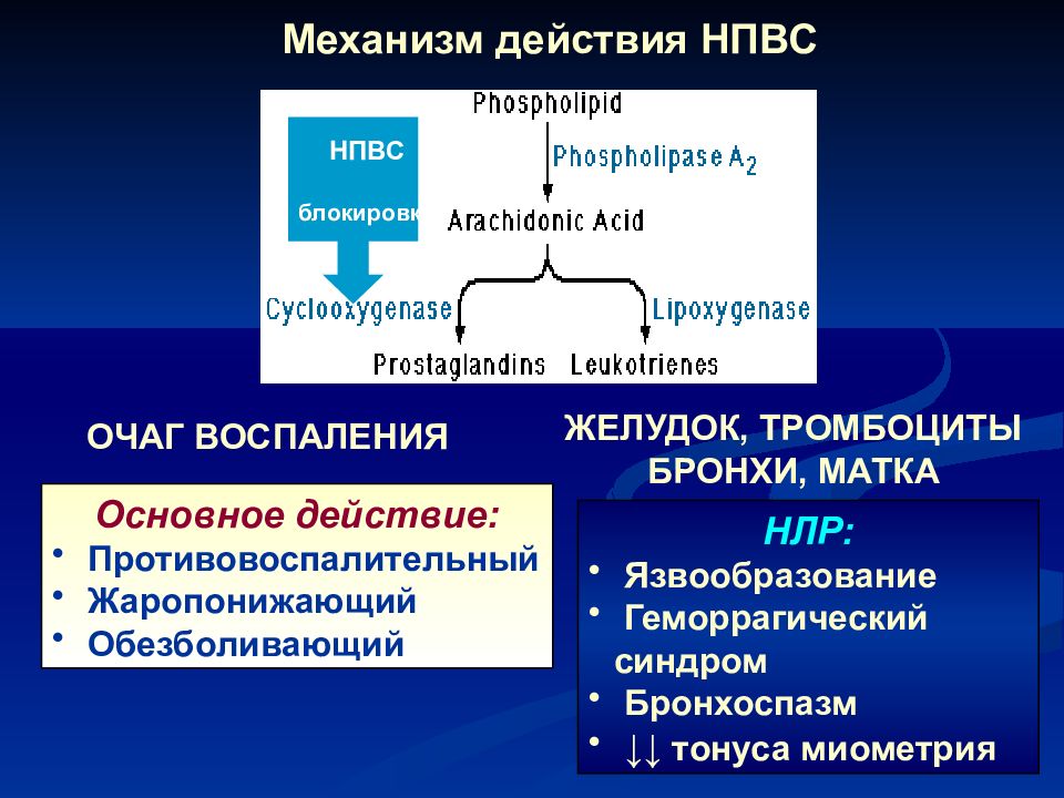 Общее действие. Механизм взаимодействия лекарственных средств. Эффекты НПВС В очаге воспаления. Взаимодействие НПВС С НПВС. Основной механизм действия НПВС.