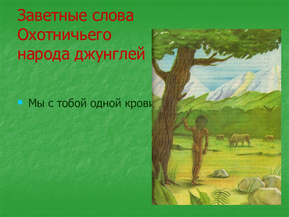 Заветное слово. Загадки про джунгли. Маугли заветные слова. Текст про джунгли. Загадка про Маугли.