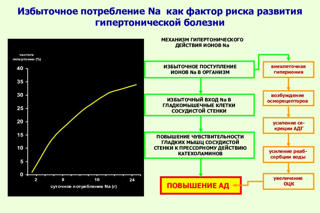 Повышена чувствительность к свету. Факторы развития гипертонической болезни. Гипертоническая болезнь факторы риск. Факторы риска гипертонической болезни. Факторами риска развития гипертонической болезни являются.