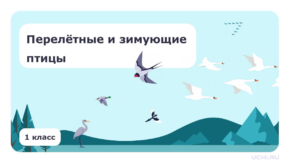 1 класс Перелётные и зимующие птицы