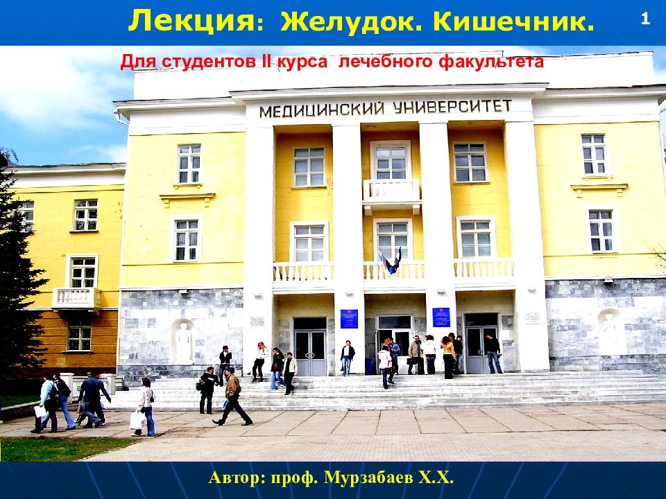 Лекция : Желудок. Кишечник. Автор: проф. Мурзабаев Х.Х. 1 Для студентов II