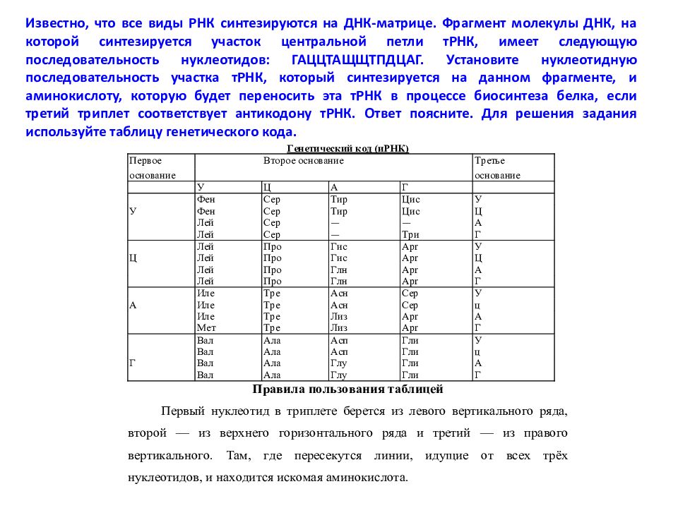 Днк имеет следующий. Нуклеотидная последовательность участка ТРНК. Задачи на центральную петлю ТРНК. Фрагмент молекулы ДНК, на которой синтезируется участок ТРНК. Известно что все виды РНК синтезируются.