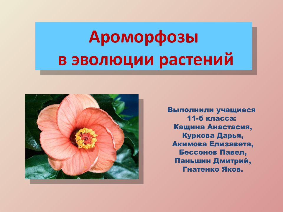 В форме какого цветка выполнен. Ароморфозы растений презентация. Ароморфоз розы. Презентация ароморфозы растений 11 класс. Примеры ароморфоза у растений.