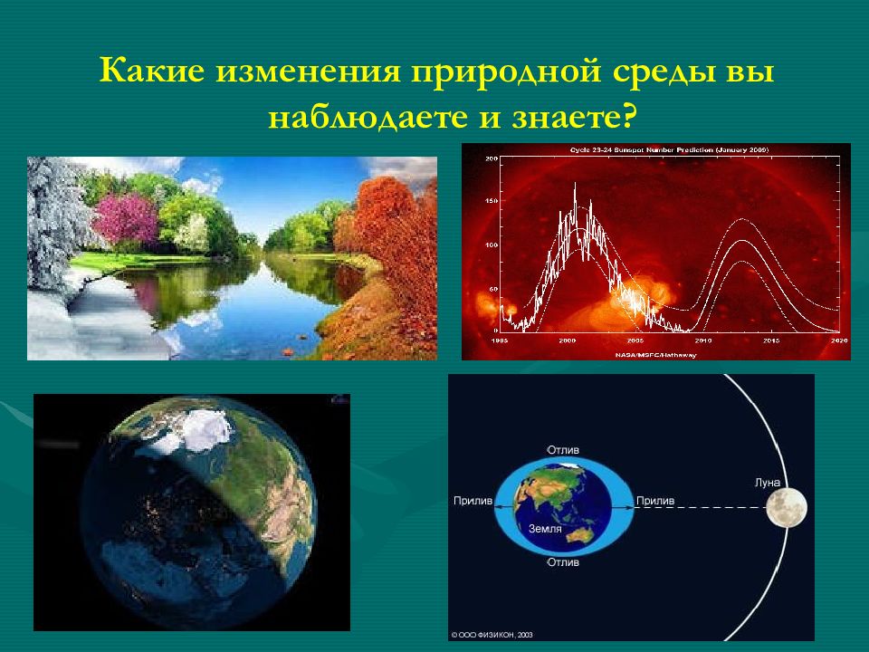 Биологические ритмы и их влияние на работоспособность человека презентация