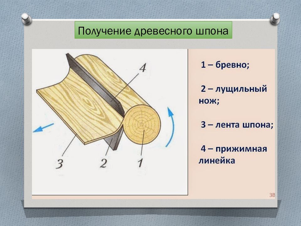 Виды шпона рисунок