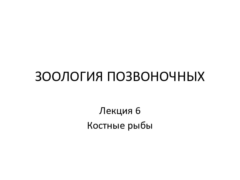 ЗООЛОГИЯ ПОЗВОНОЧНЫХ