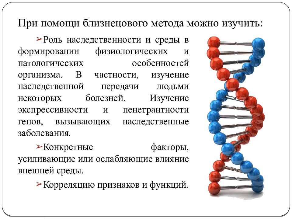 Близнецовый метод презентации