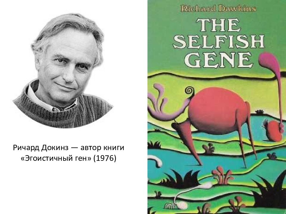 Слушать книгу ген. Книга Ричарда Докинза эгоистичный ген.