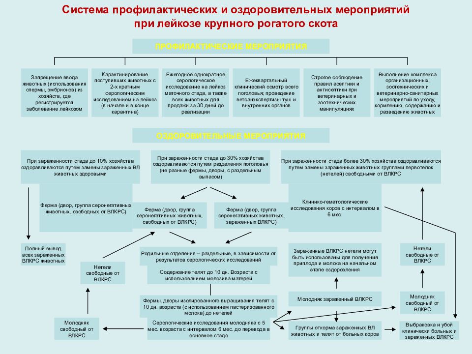 Ветеринарные правила лейкоз