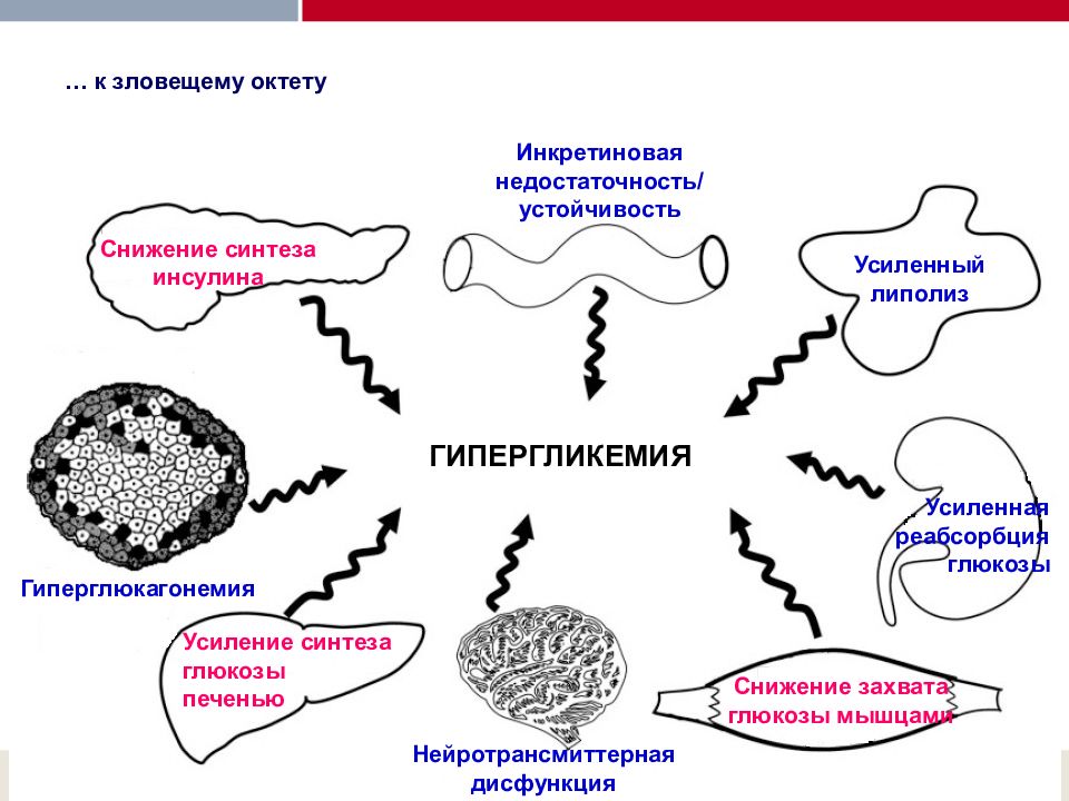 Этиология и патогенез сахарного диабета