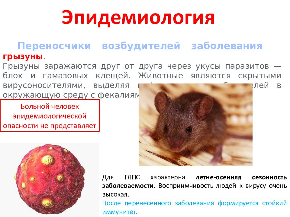 Геморрагическая лихорадка с почечным синдромом