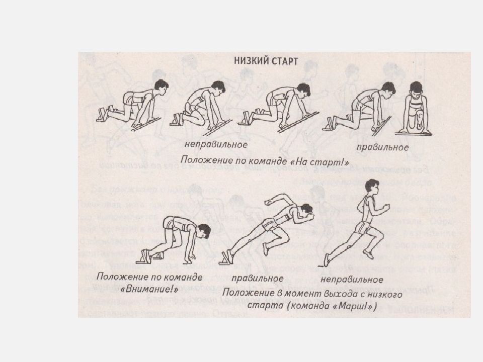 Обучение техники низкого старта план конспект 5 класс