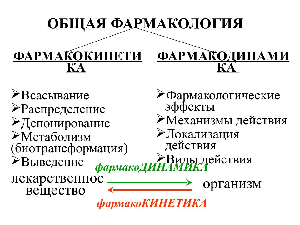 Презентации по фармакологии для студентов