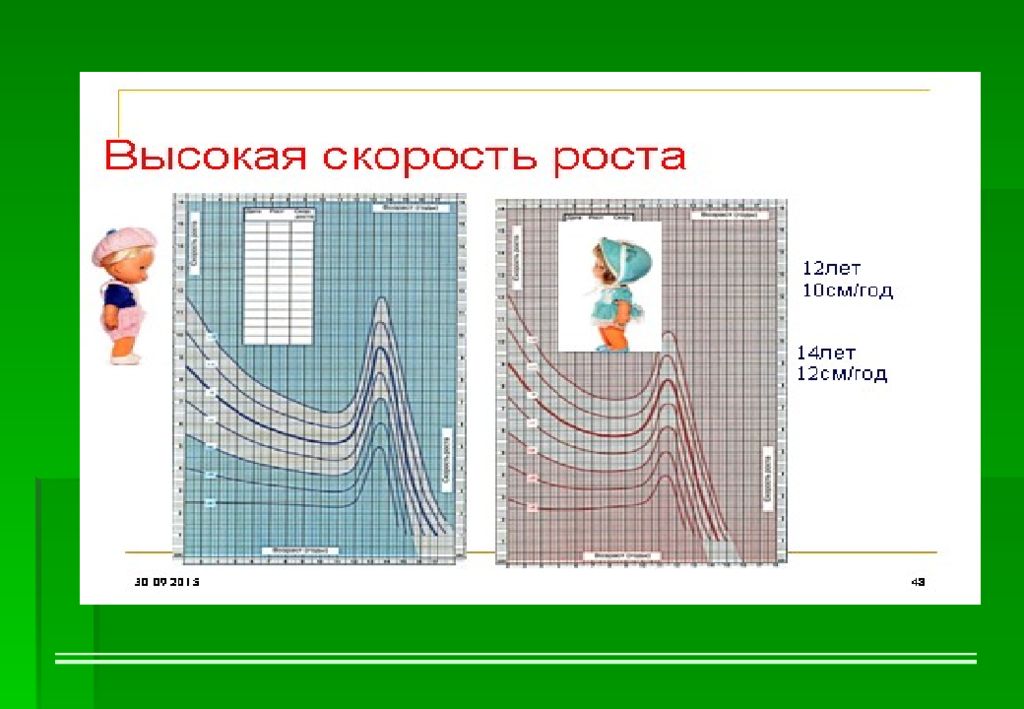 Рост в 12