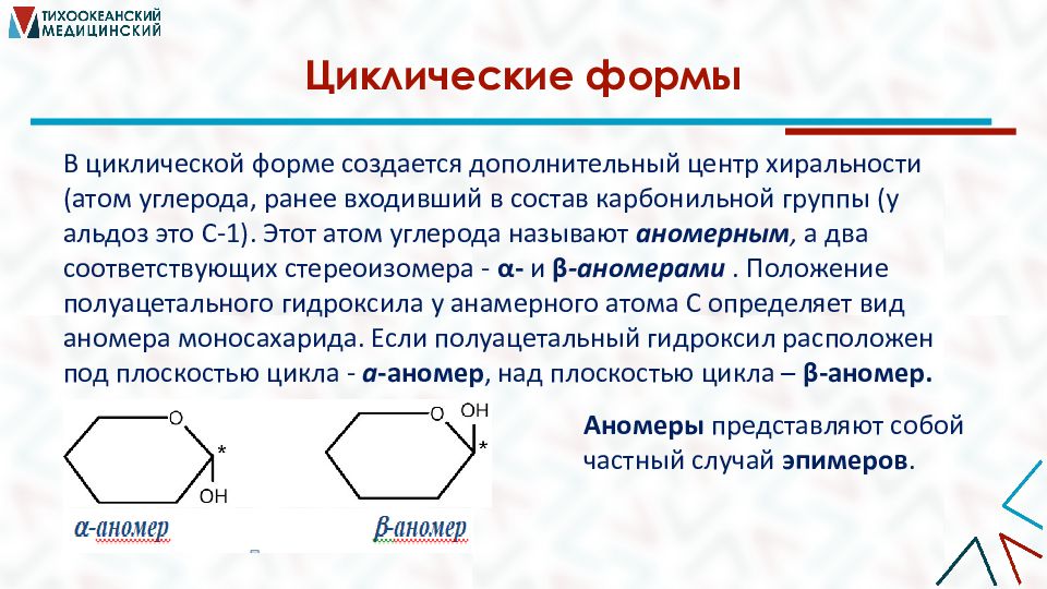 Мономеры углеводов. Свойства олиго и полисахаридов. Практическое использование олиго- и полисахаридов.. Синтез олиго и полисахаридов. Полисахарид сульфат.