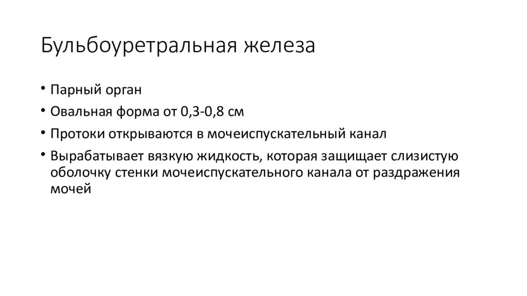 Бульбоуретральные железы. Бульбоуретральная железа. Бульбоуретральные железы у кобелей.