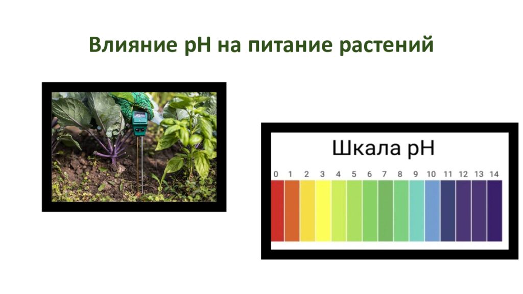 Влияние pH на питание растений