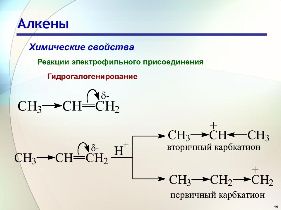 Гидрогалогенирования алкена реакция. Химические свойства алкенов механизм реакции. Условия реакции гидрогалогенирования алкенов. Гидрогалогенирование алкенов катализатор. Реакция гидрогалогенирования алкенов.