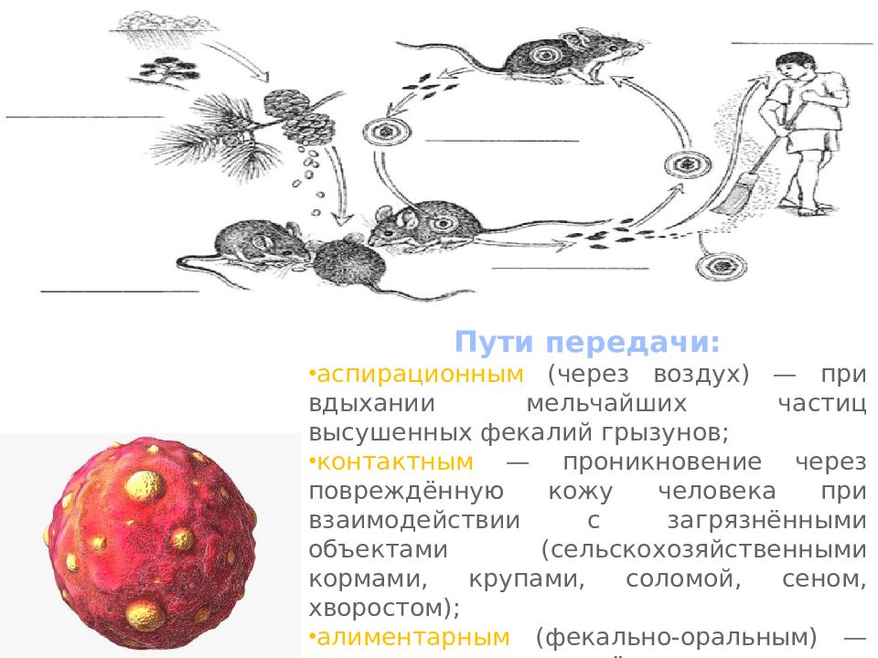 Профилактика глпс презентация