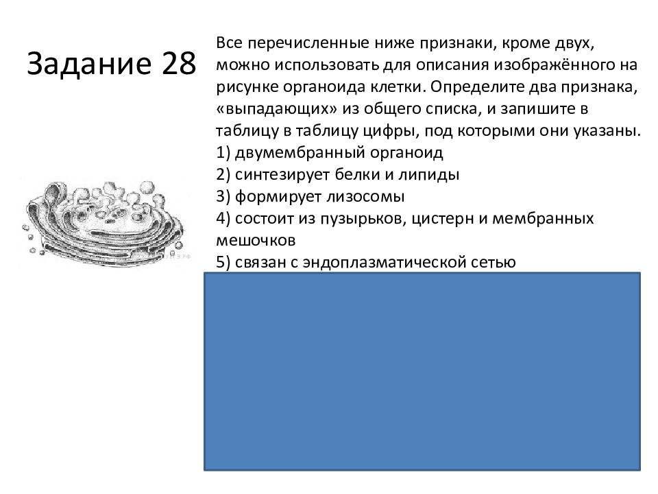 Определите 2 признака выпадающих из общего списка. Определите два признака выпадающих из общего списка. Все перечисленные ниже признаки кроме двух. Все перечисленные ниже признаки. Все перечисленные ниже признаки кроме 2.