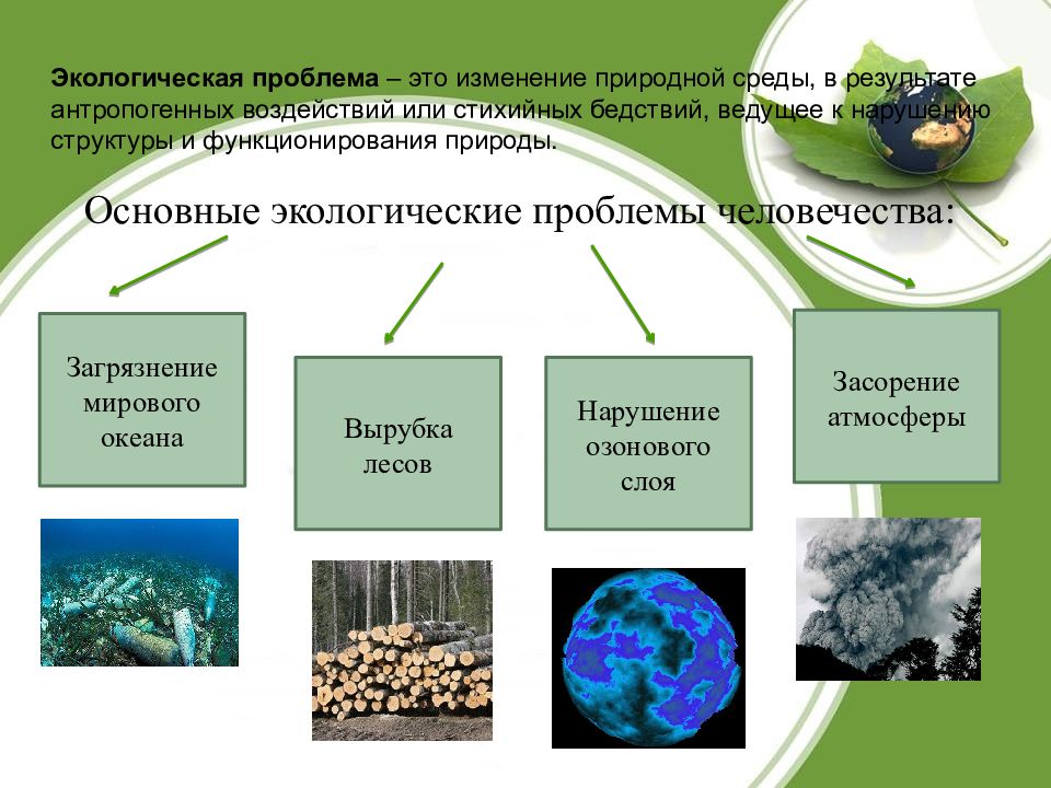 Глобальной экологической проблемой для современного человечества является