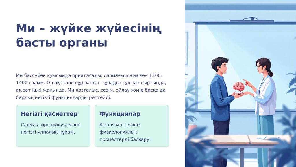 Ми бөлімдері: 7-сынып биологиясы Бұл презентация ми бөліктерінің құрылымы мен