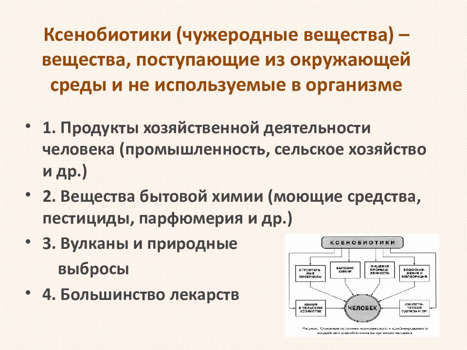 Ксенобиотики биохимия презентация