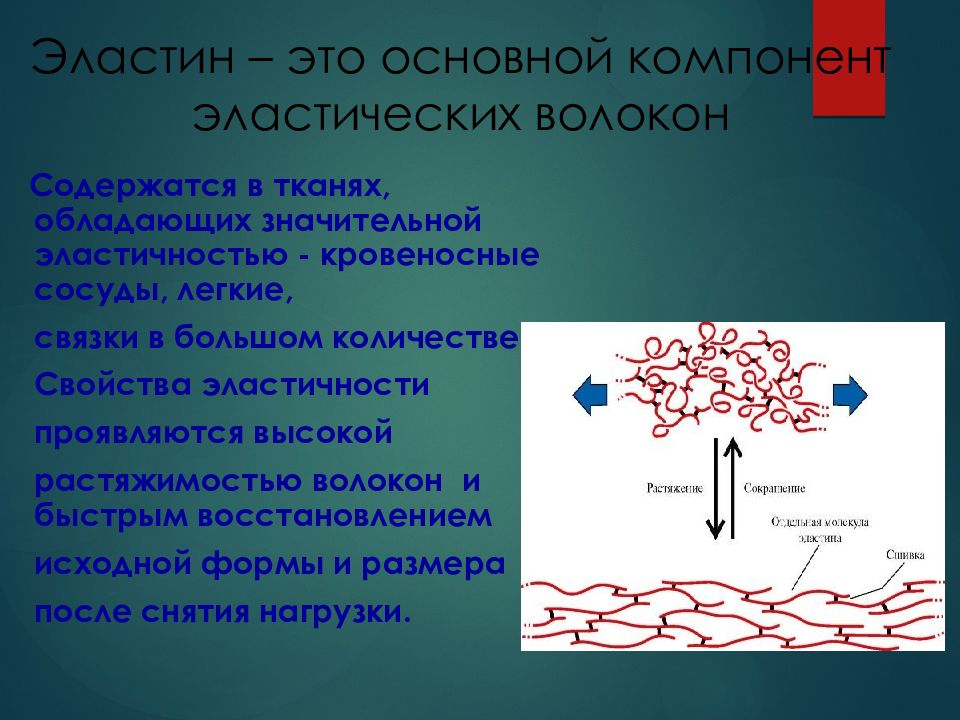 Коллаген презентация по химии