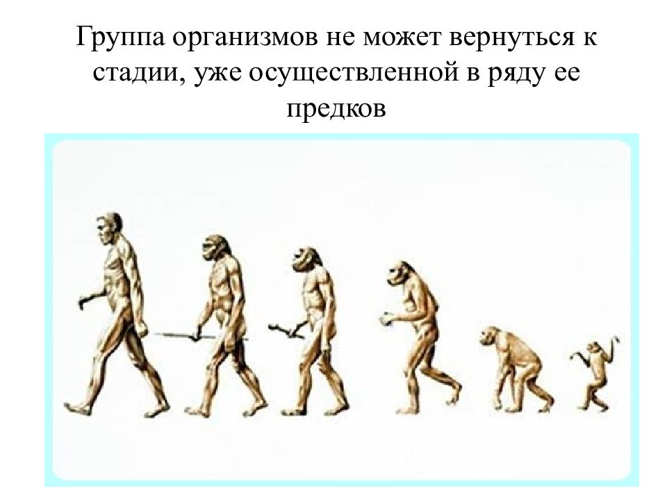 Презентация современное учение об эволюции