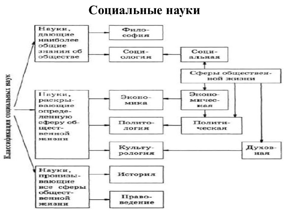 Естественные и социальные науки. Схема социальные и Гуманитарные знания. Схема философии в системе социально-гуманитарных наук. Элементы гуманитарного знания. Схема понятия наука.